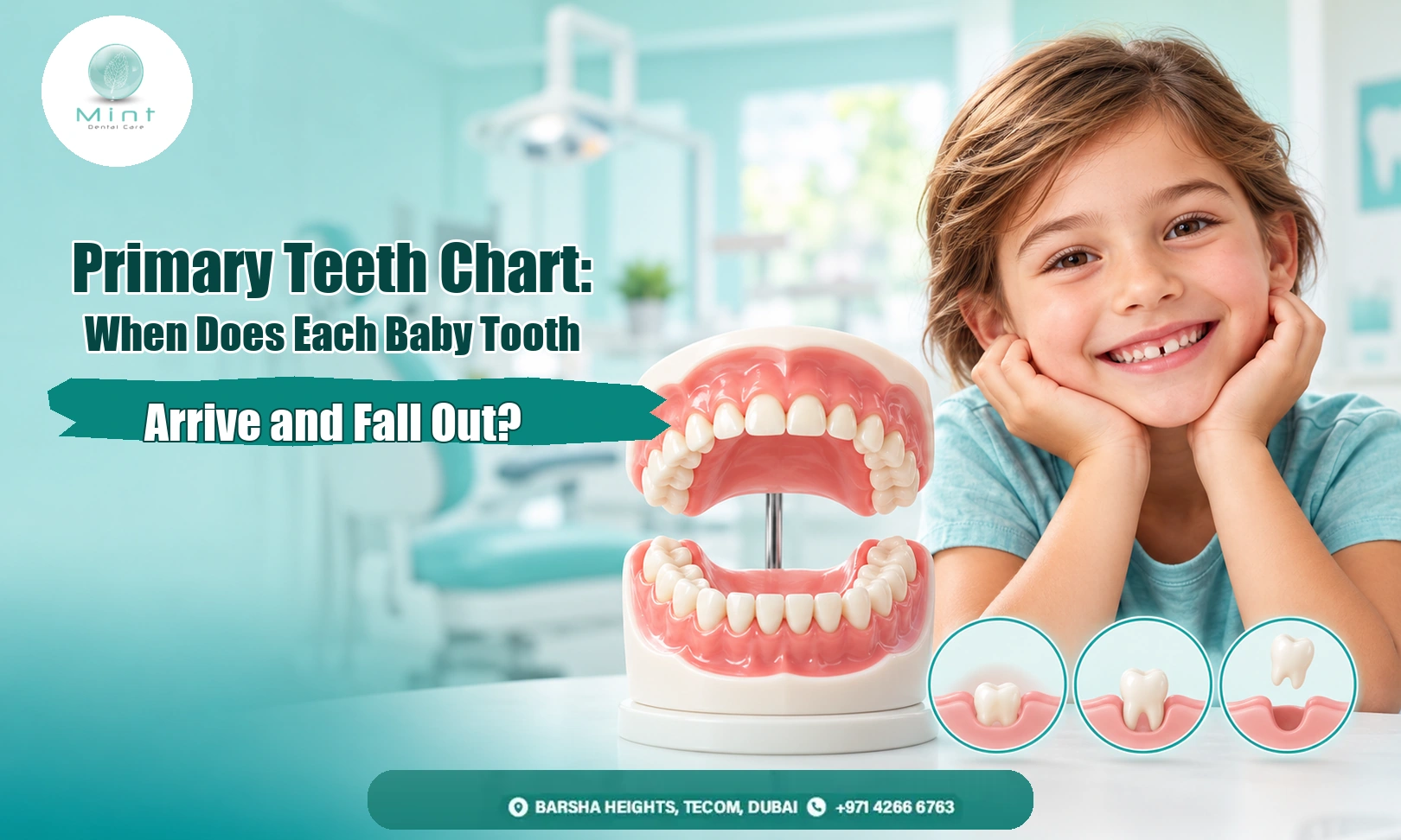 Primary Teeth Chart