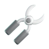 Forceps