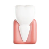 Incisor