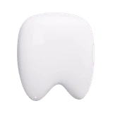 Tooth Dentist Dental Premolar Molar
